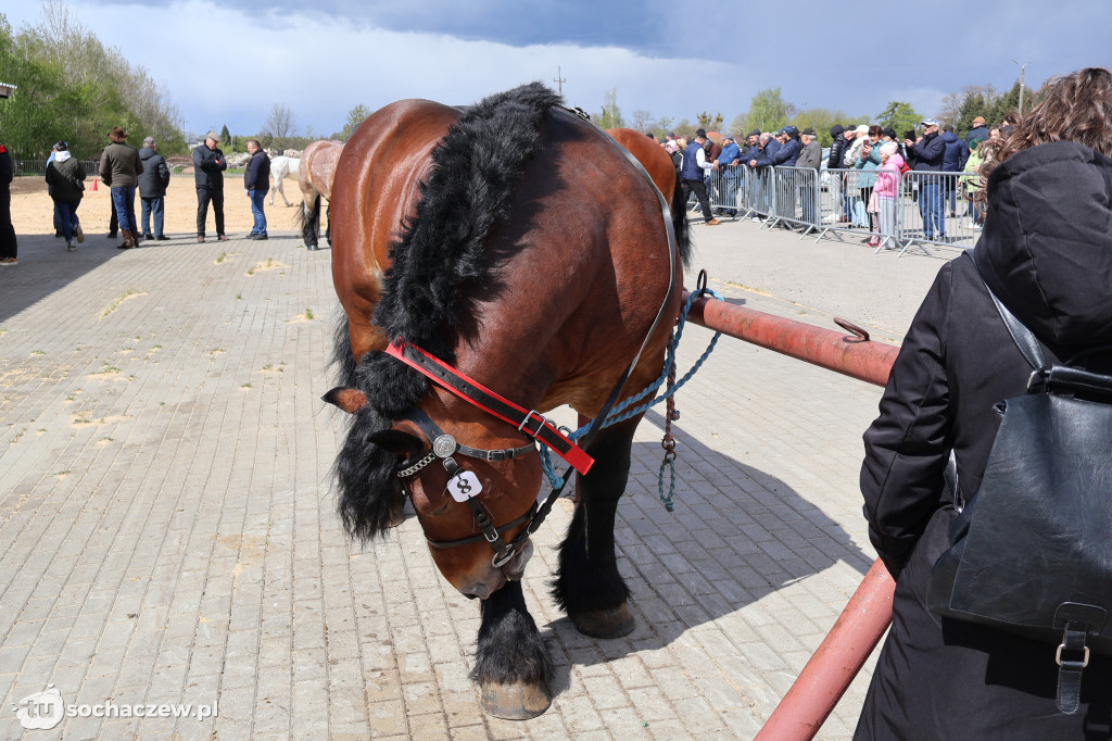 III Jarmark Rolniczy w Kozłowie Biskup 2026 [FOTO]