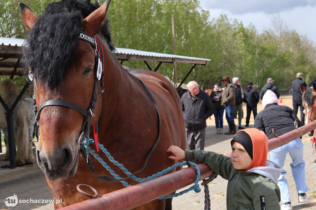 III Jarmark Rolniczy w Kozłowie Biskup 2026 [FOTO]