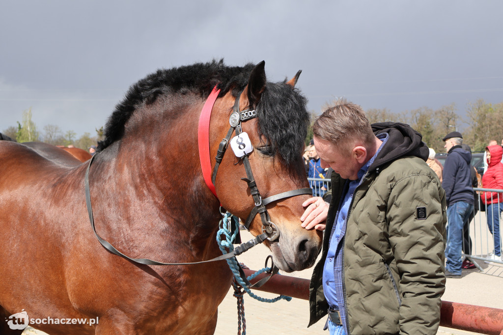 III Jarmark Rolniczy w Kozłowie Biskup 2026 [FOTO]