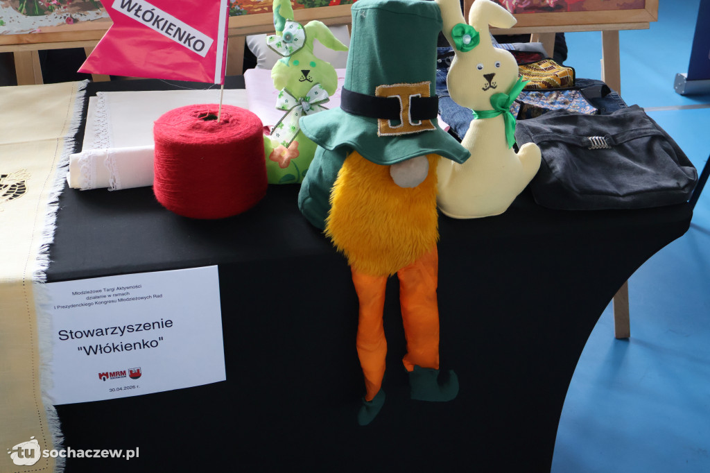 Młodzieżowe Targi Aktywności w Sochaczewie