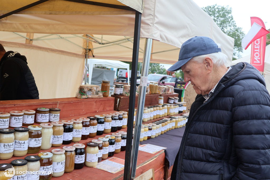 Plac Kościuszki: pojawiły się stoiska, ruszył festiwal