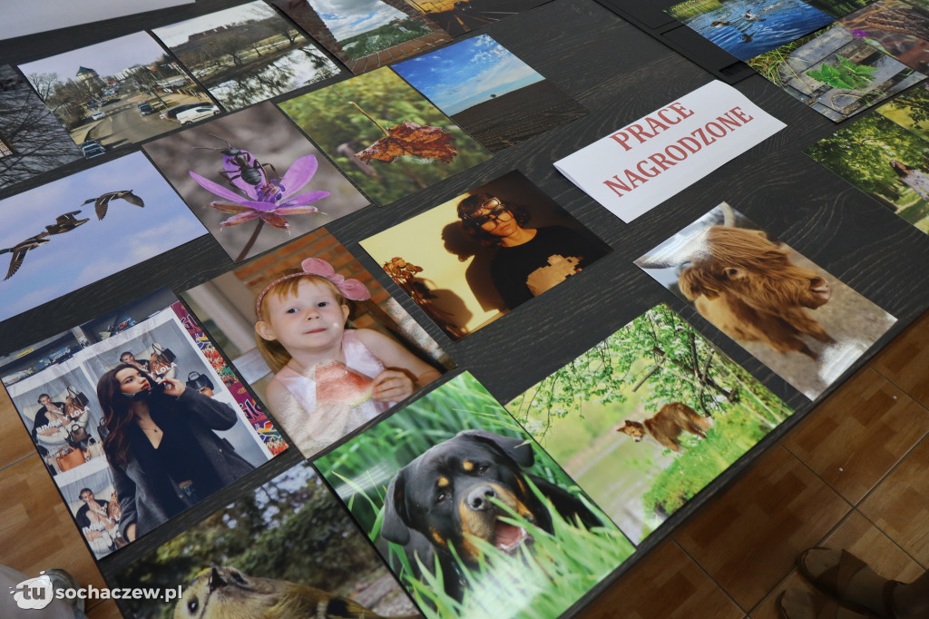 Starostwo: XX-sty konkurs fotograficzny, jest rekord