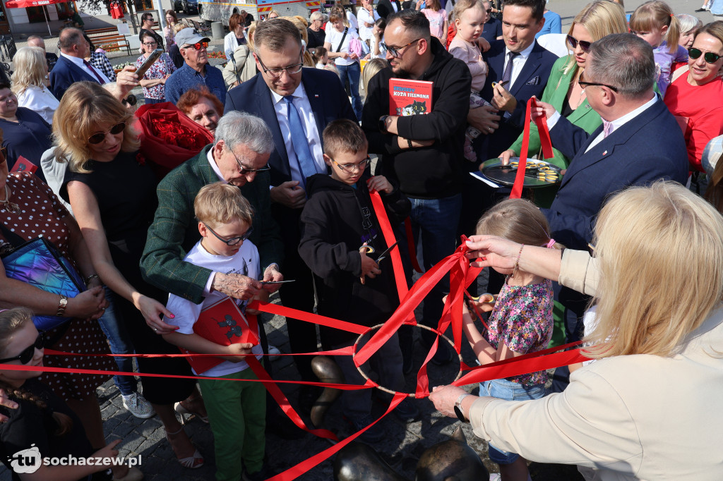 Tłumy przy Bonifacym. Sochaczew świętował odsłonięcie figurki