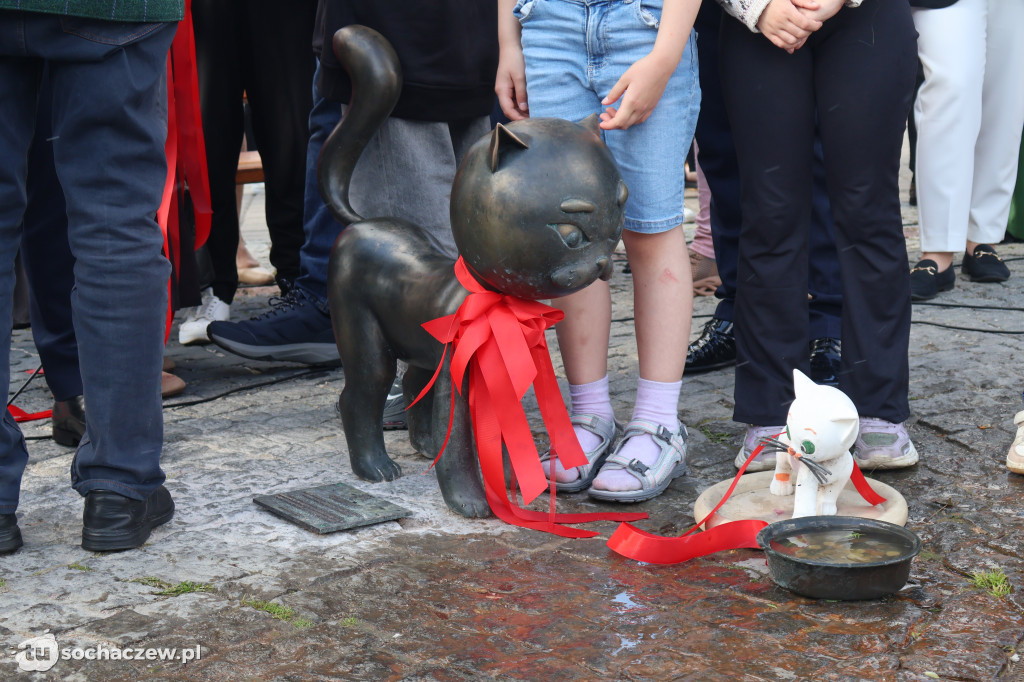Tłumy przy Bonifacym. Sochaczew świętował odsłonięcie figurki
