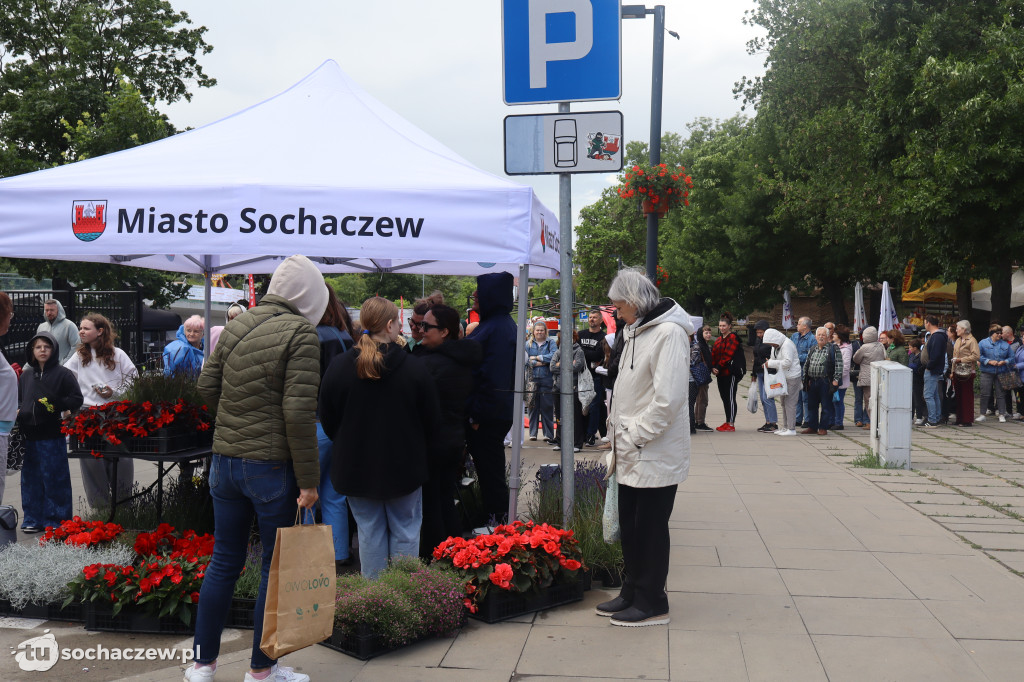 Kolejki na Dniach Sochaczewa