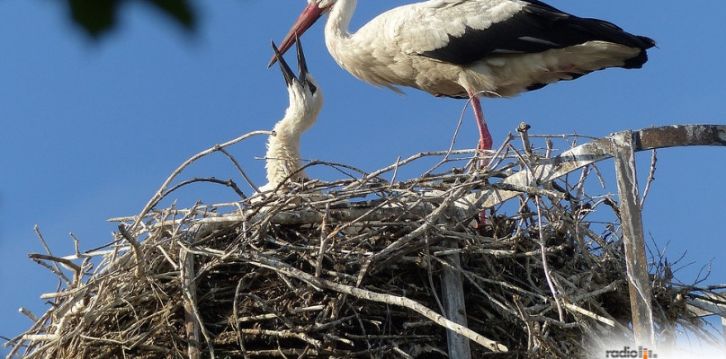 "Mazowsze. Weekend dwa kroki stąd" - otwarcie sezonu turystycznego