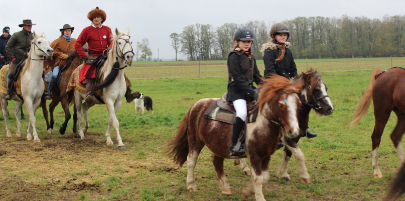 Pierwszy ?Hubertus? w Gminie Teresin 