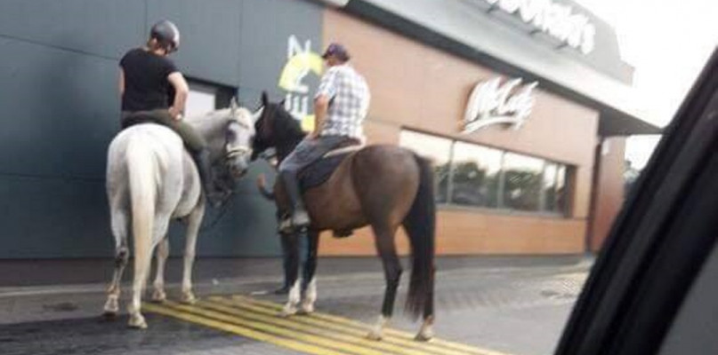 Dwa konie nie mechaniczne w Mc Drive Sochaczew