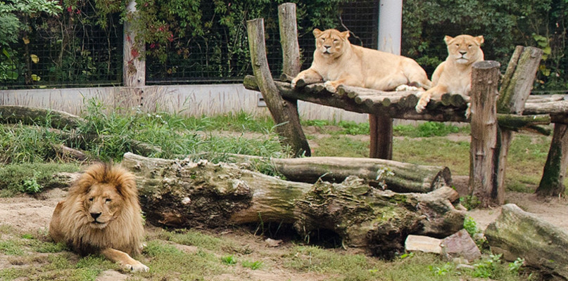 FOTO  ZOO PŁOCK