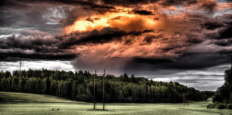 Burza w lesie. Leśnicy ostrzegają