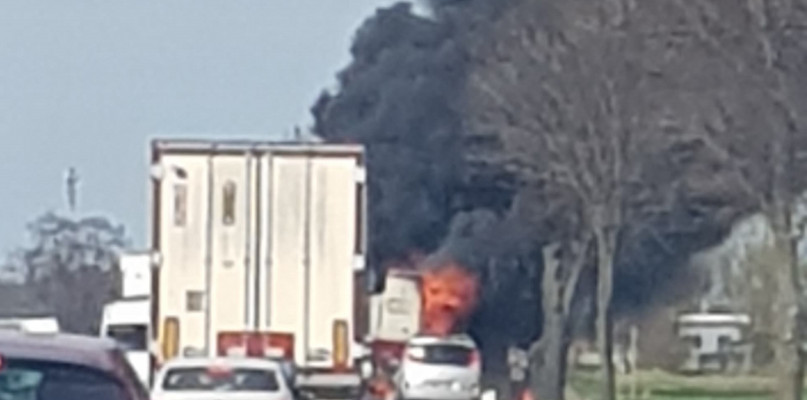 foto Czytelnik Michał