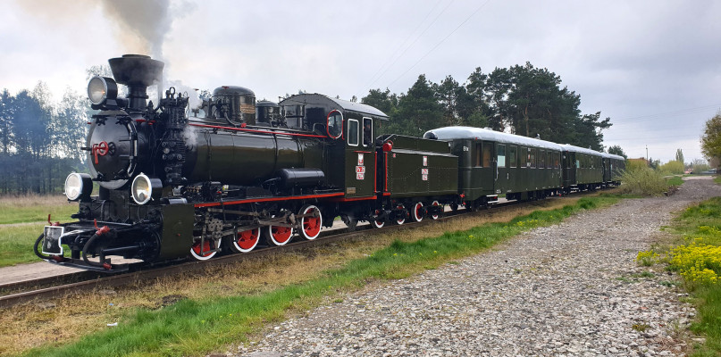 Marta Przygoda, Rafał Osiewicz