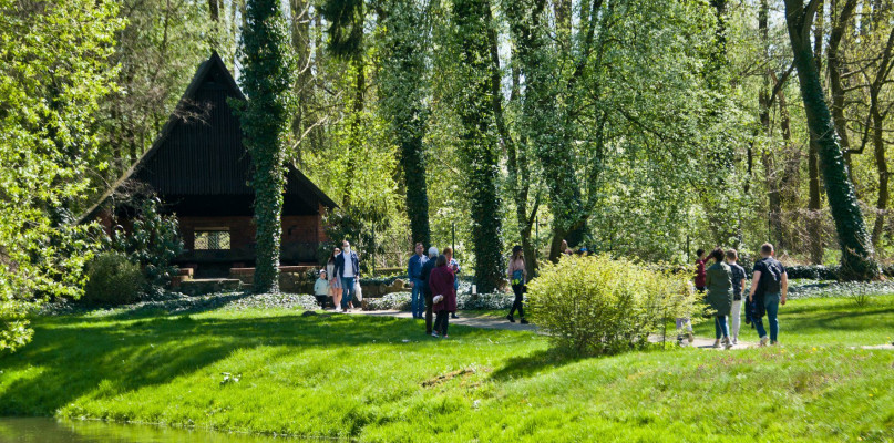 Fot. Małgorzata Kazur / NIFC