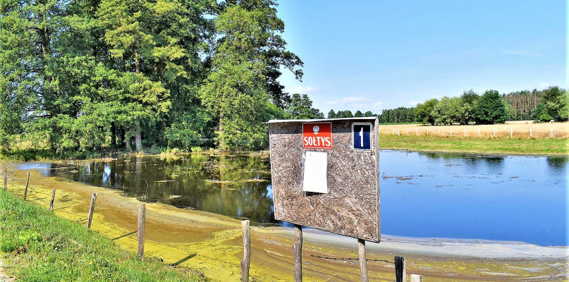 Iłów: trwa szacowanie strat po burzy. Zalanych wiele upraw i gospodarstwo sołtys w