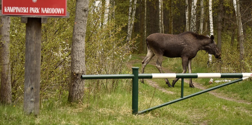 foto Kampinoski Park Narodowy