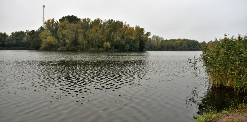 Zalew Boryszew: walka z wielkimi sumami, niewykluczony odstrzał