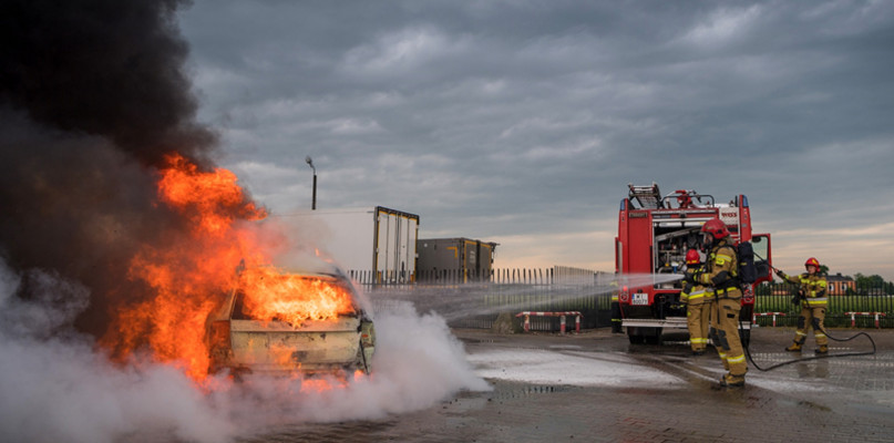 foto tomaszfijolek.pl