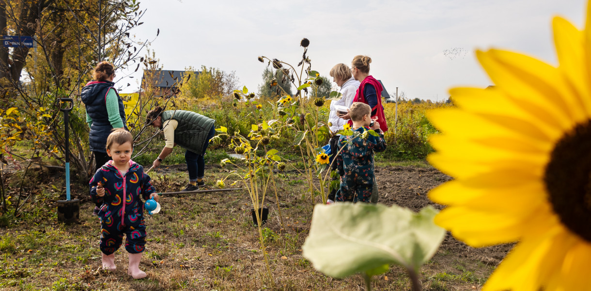 Ogród społeczny w Granicach: będzie pięknie już wiosną
