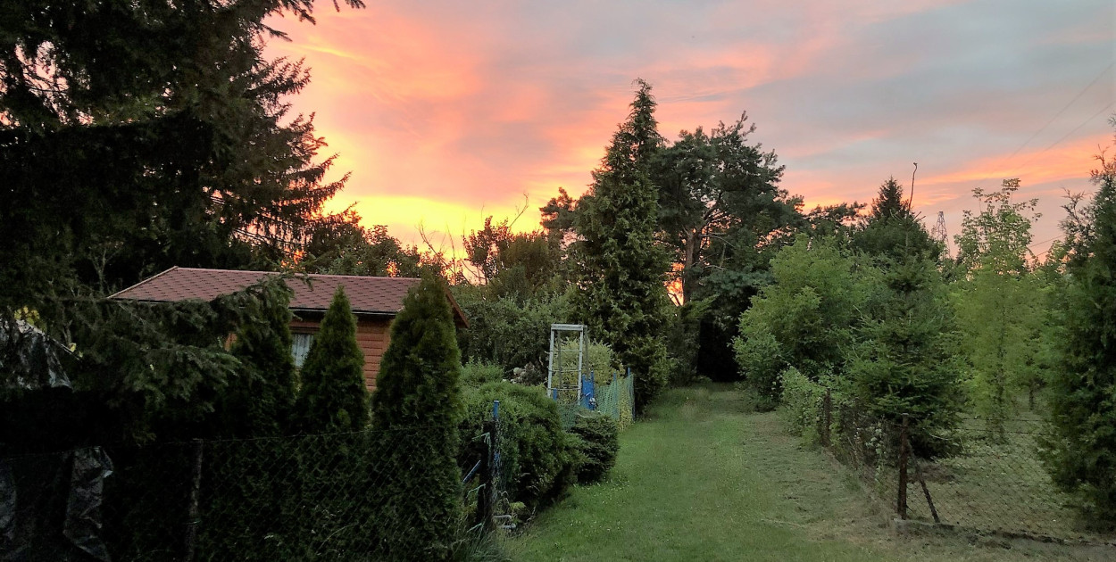 Rodzinne Ogrody Działkowe z Sochaczewa z dofinansowaniem 