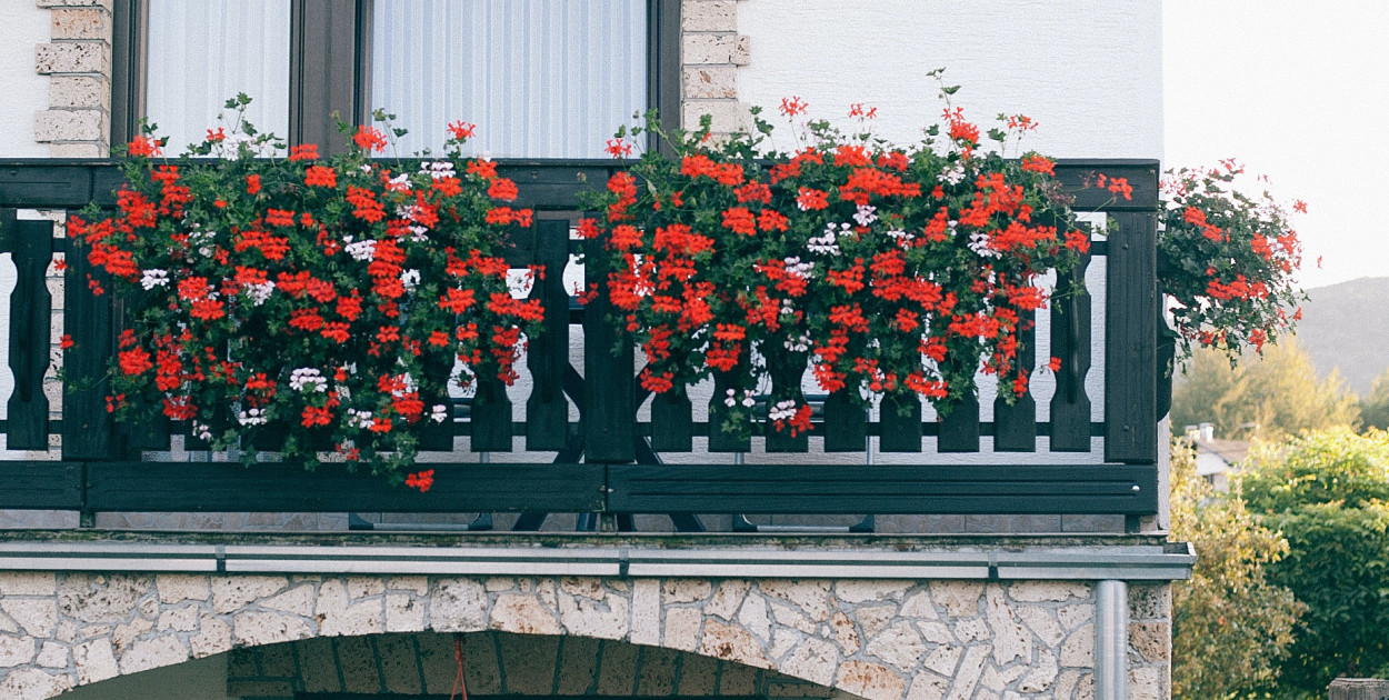 Masz kwiaty na balkonie? Możesz dostać mandat!