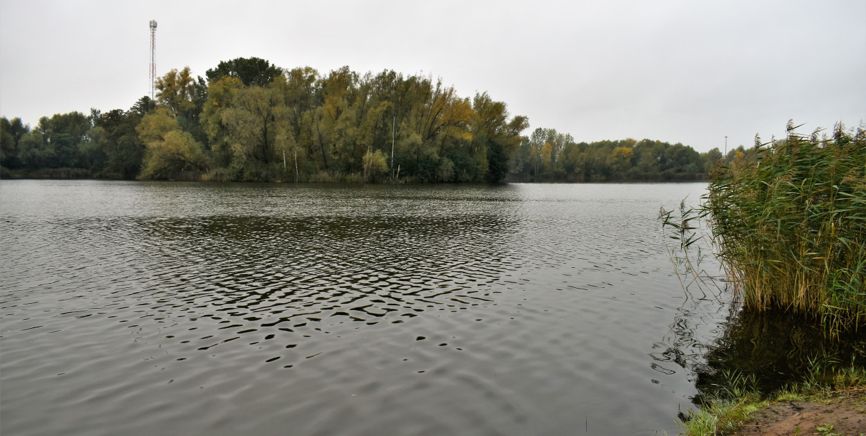 Radny pyta o przyszłość zalewu w Boryszewie