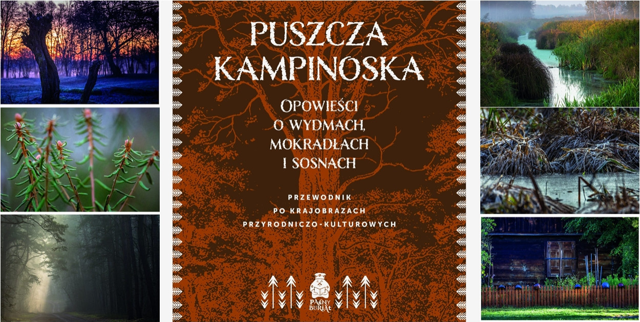 Nowa publikacja o Puszczy Kampinoskiej, oddano głos drzewom, wydmom, bagnom