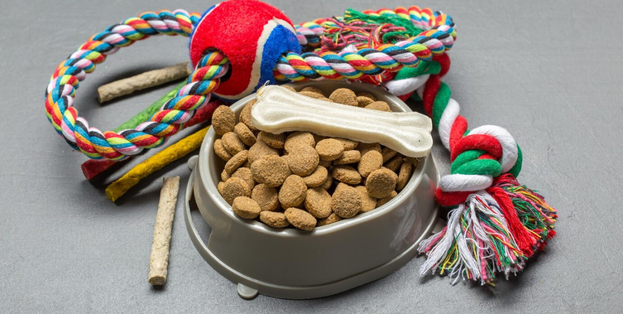 Sklep zoologiczny WWW czy ten tradycyjny "za rogiem”: co wybrać? 