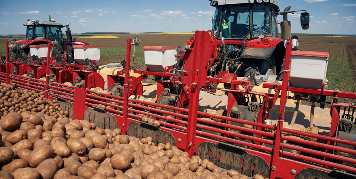        Kombajny ziemniaczane – zasada działania i najczęstsze usterki     