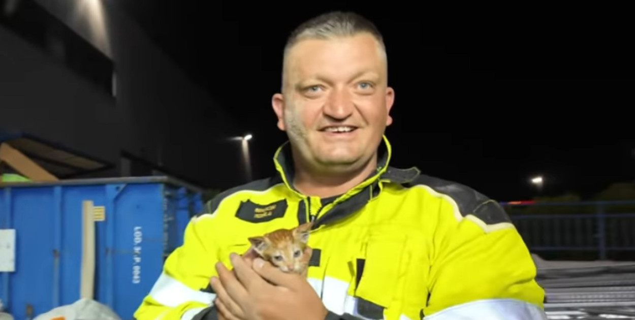 Uwięziony kot, akcja ratunkowa trwała 2,5 godziny [VIDEO]