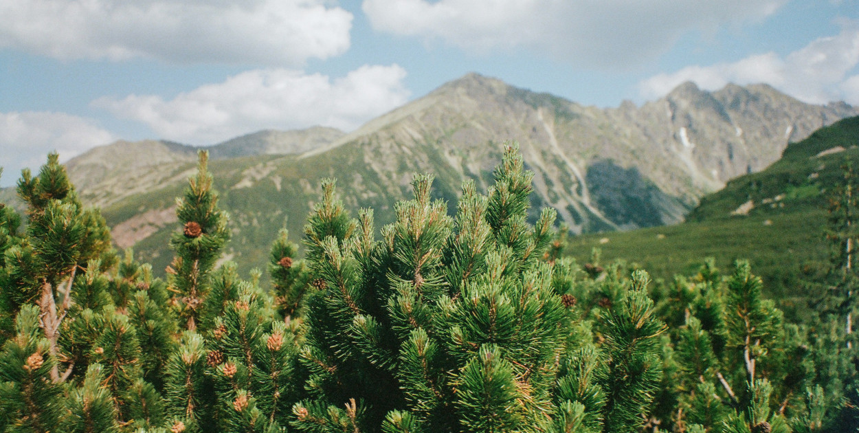Plan wycieczki do Zakopanego na 5 dni - odkryj najlepsze atrakcje!