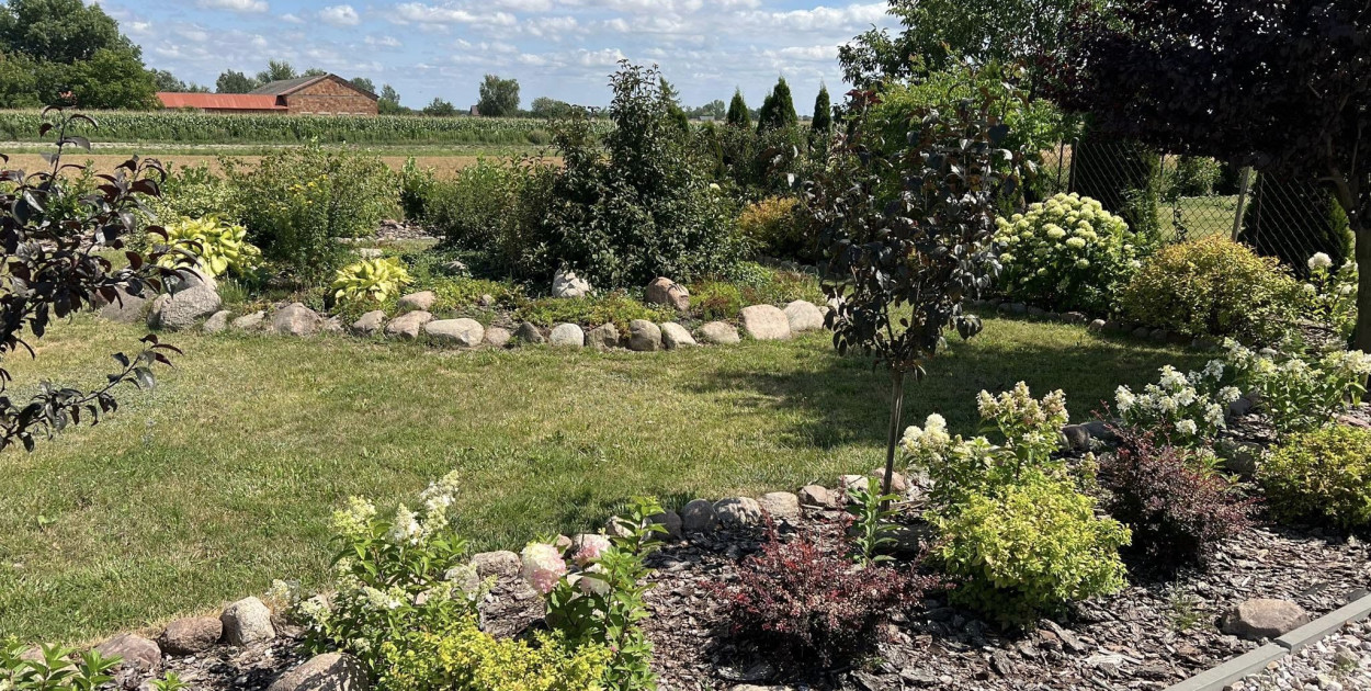 Najładniejsze ogrody w gminie Rybno wybrane i nagrodzone