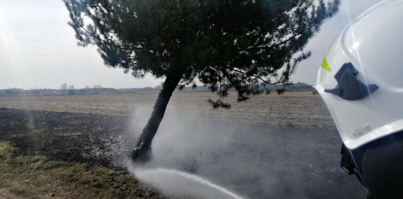 Foto OSP Młodzieszyn