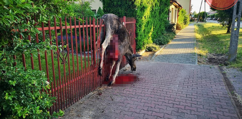 OSP Łyszkowice