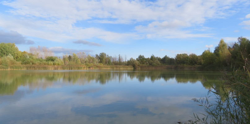 PZW Chodaków