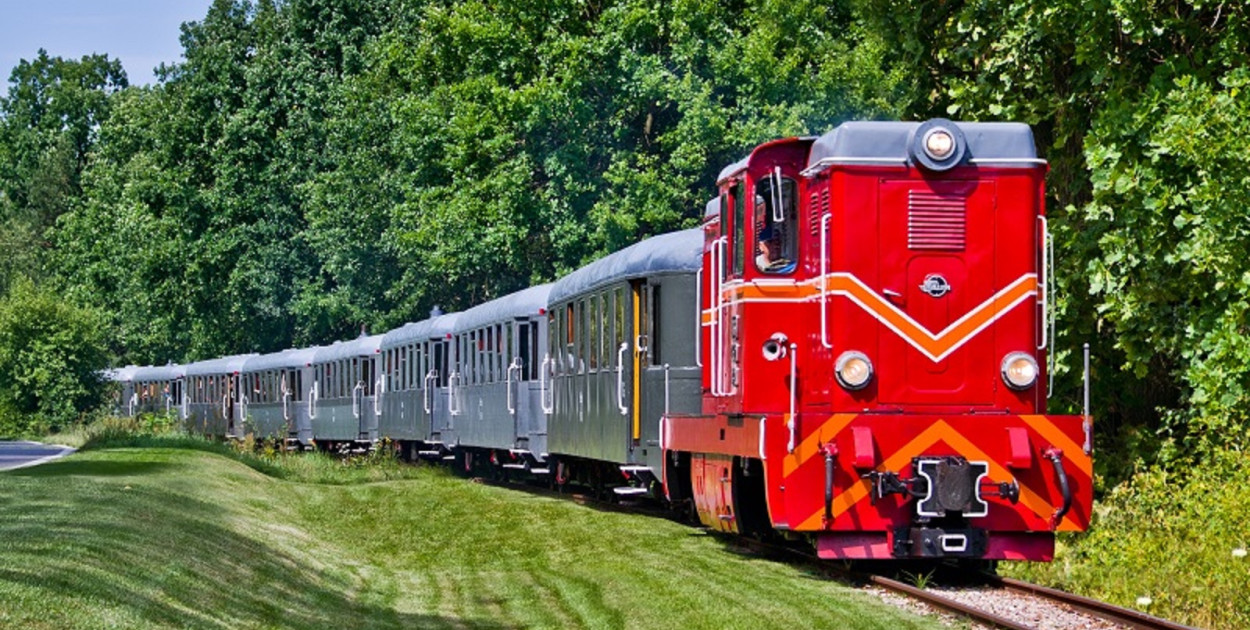 Już 29 kwietnia turyści znów pojadą pociągiem Retro do Puszczy Kampinoskiej! (fot. Małgorzata Kazur)