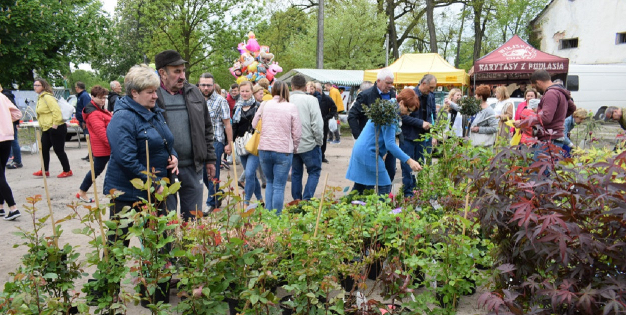foto poglądowe: archiwum tusochaczew.pl