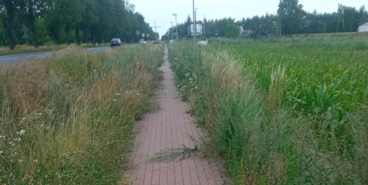 foto od mieszkanki