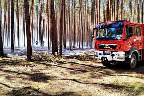 Pożar lasu w Leontynowie-13988
