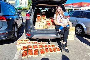 Pierwsze truskawki w Sochaczewie 2024-14004