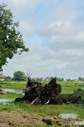 Nawałnica nad płockim Drobinem-15674