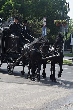 Romski pogrzeb w Sochaczewie-15757
