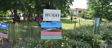 Okno Sztuki Marcina Hugo-Badera-310157