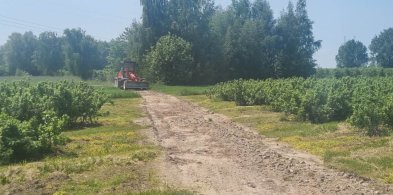 Gmina Rybno: kolejne remonty dróg gminnych-67767