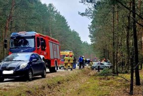 Wilcze Śladowskie: auto uderzyło w drzewo, poszkodowana jedna osoba-72956