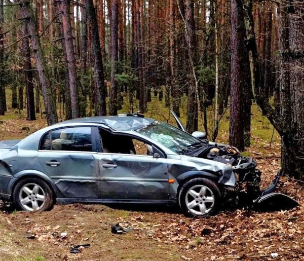 Wilcze Śladowskie: auto uderzyło w drzewo, poszkodowana jedna osoba-72956
