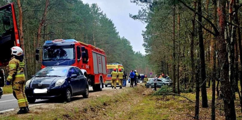 Wilcze Śladowskie: auto uderzyło w drzewo, poszkodowana jedna osoba - 72956