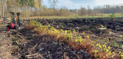 Nadleśnictwo Radziwiłłów: 100 hektarów lasów do posadzenia, są też straty-74356