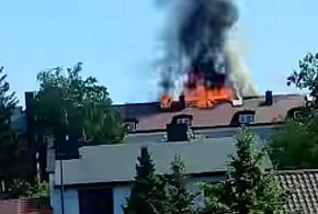 Pożar liceum w Grodzisku Mazowieckim, ewakuowano maturzystów-74796