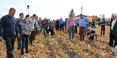 Nie masz pomysłu na weekend? Przegląd wydarzeń w Sochaczewie i okolicy-78585