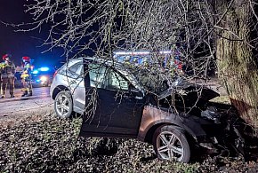 Wypadek w Elżbietowie, nie żyje kierowca-80567